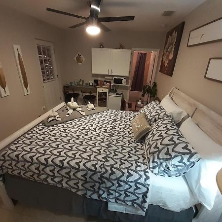 טאמפה Luxurious Cozy Studio. מראה חיצוני תמונה