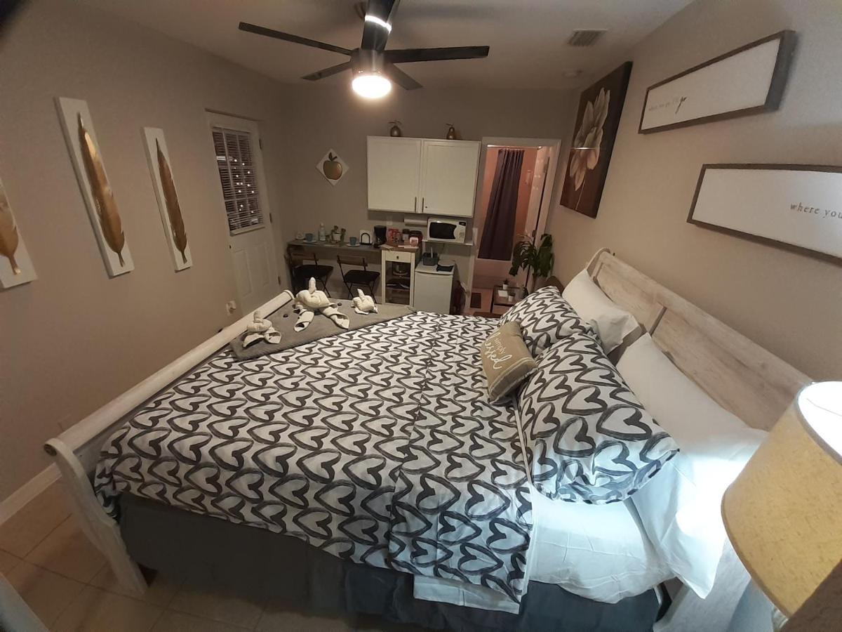 טאמפה Luxurious Cozy Studio. מראה חיצוני תמונה